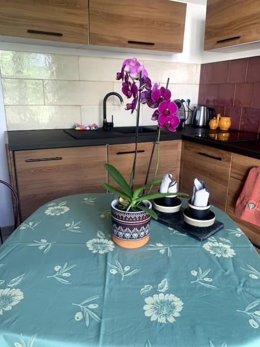 Maisonnette De Jardin Marsiglia Esterno foto